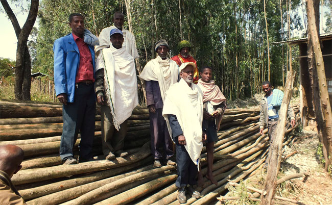 Kehittyvien maiden maa- ja metsätaloustuottajien osuuskuntauutisia FFD:n uutiskirjeestä