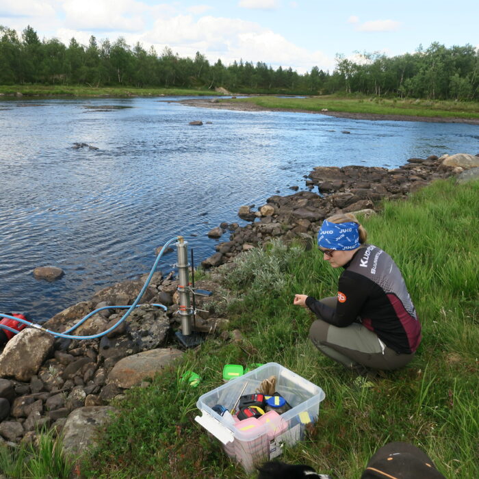 Mikromuovia löytyi ensi kertaa erämaisilta Näätämö-joelta ja Inarijärveltä Osuuskunta Lumimuutoksen koordinoimassa hankkeessa