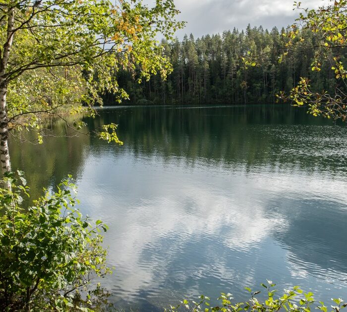 Metsä Groupin luonto-ohjelma jatkaa suomalaisen luonnon monimuotoisuuden turvaamista