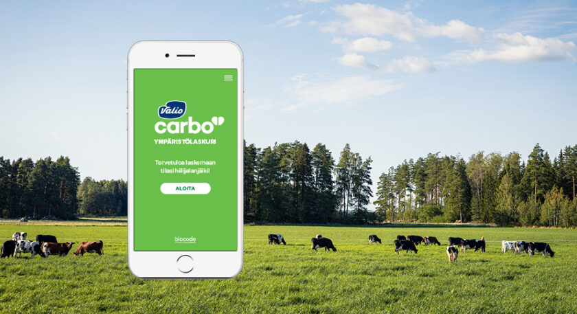 Kesäinen vihreä nurmilaidun, jolla lehmiä. Taustalla metsää. Edessä kuva puhelimesta jossa Valion carbon laskin.