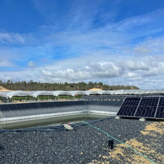 S-ryhmä kehittää vesivastuutyötään – Yritysten yhteinen vesihanke käynnistyy ennätyskuivuudesta kärsineessä Espanjassa